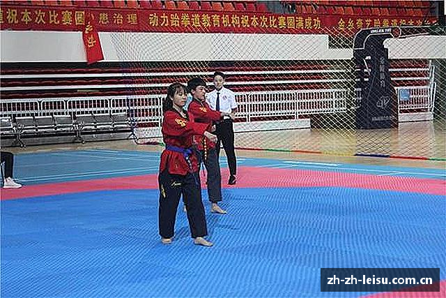 介绍leisu